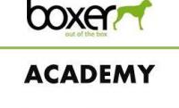 Boxer Academy